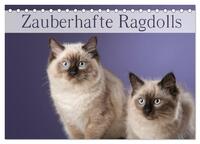 Zauberhafte Ragdolls / Geburtstagskalender (Tischkalender 2026 DIN A5 quer), CALVENDO Monatskalender