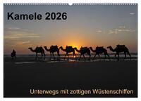 Kamele 2026 - Unterwegs mit zottigen Wüstenschiffen (Wandkalender 2026 DIN A2 quer), CALVENDO Monatskalender