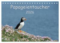 Papageientaucher 2026 (Tischkalender 2026 DIN A5 quer), CALVENDO Monatskalender