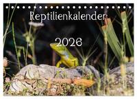Reptilienkalender 2026 (Tischkalender 2026 DIN A5 quer), CALVENDO Monatskalender
