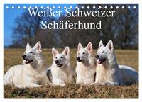 Weißer Schweizer Schäferhund (Tischkalender 2026 DIN A5 quer), CALVENDO Monatskalender