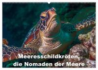 Meeresschildkröten, die Nomaden der Meere (Wandkalender 2026 DIN A2 quer), CALVENDO Monatskalender
