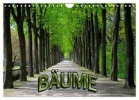 Bäume 2026 (Wandkalender 2026 DIN A4 quer), CALVENDO Monatskalender