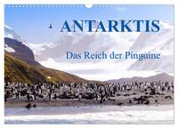 Antarktis - Das Reich der Pinguine (Wandkalender 2026 DIN A3 quer), CALVENDO Monatskalender