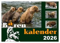 Bärenkalender (Wandkalender 2026 DIN A2 quer), CALVENDO Monatskalender
