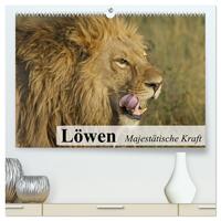 Löwen. Majestätische Kraft (hochwertiger Premium Wandkalender 2026 DIN A2 quer), Kunstdruck in Hochglanz