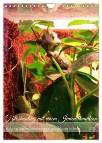 Fotoshooting mit einem Jemenchamäleon (Wandkalender 2026 DIN A4 hoch), CALVENDO Monatskalender