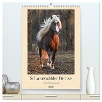 Schwarzwälder Füchse von Julia Hahn Photography (hochwertiger Premium Wandkalender 2026 DIN A2 hoch), Kunstdruck in Hochglanz