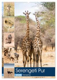 Serengeti Pur - Tansania (Wandkalender 2026 DIN A2 hoch), CALVENDO Monatskalender