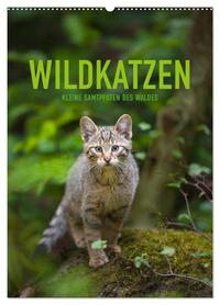 Wildkatzen - Kleine Samtpfoten des Waldes (Wandkalender 2026 DIN A2 hoch), CALVENDO Monatskalender