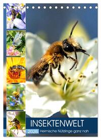 INSEKTENWELT - Heimische Nützlinge ganz nah (Tischkalender 2026 DIN A5 hoch), CALVENDO Monatskalender