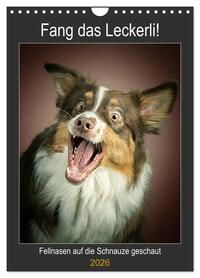 Fang das Leckerli (Wandkalender 2026 DIN A4 hoch), CALVENDO Monatskalender