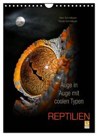 Auge in Auge mit coolen Typen - REPTILIEN (Wandkalender 2026 DIN A4 hoch), CALVENDO Monatskalender