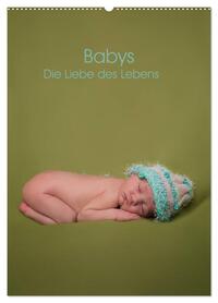 Babys - Die Liebe des Lebens (Wandkalender 2026 DIN A2 hoch), CALVENDO Monatskalender