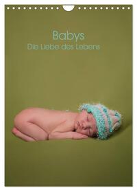 Babys - Die Liebe des Lebens (Wandkalender 2026 DIN A4 hoch), CALVENDO Monatskalender