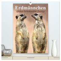 Erdmännchen - Afrikas liebenswerte Zwerge (hochwertiger Premium Wandkalender 2026 DIN A2 hoch), Kunstdruck in Hochglanz