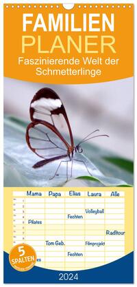 Familienplaner 2026 - Faszinierende Welt der Schmetterlinge mit 5 Spalten (Wandkalender, 21 x 45 cm) CALVENDO