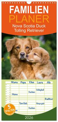 Familienplaner 2026 - Toller - Nova Scotia Duck Tolling Retriever mit 5 Spalten (Wandkalender, 21 x 45 cm) CALVENDO