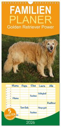 Familienplaner 2026 - Golden Retriever Power mit 5 Spalten (Wandkalender, 21 x 45 cm) CALVENDO