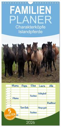 Familienplaner 2026 - Charakterköpfe Islandpferde mit 5 Spalten (Wandkalender, 21 x 45 cm) CALVENDO