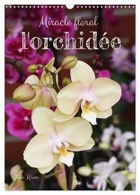 Miracle floral l'orchidée (Calendrier mural 2026 DIN A3 horizontal), CALVENDO calendrier mensuel