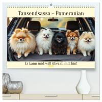 Tausendsassa - Pomeranian (hochwertiger Premium Wandkalender 2026 DIN A2 quer), Kunstdruck in Hochglanz