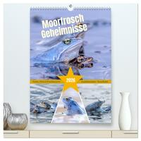 Moorfrosch Geheimnisse – Farben, Flirts & Froschkonzerte - Tanja Riedel (hochwertiger Premium Wandkalender 2026 DIN A2 hoch), Kunstdruck in Hochglanz