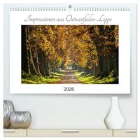 Impressionen aus Ostwestfalen-Lippe (hochwertiger Premium Wandkalender 2026 DIN A2 quer), Kunstdruck in Hochglanz