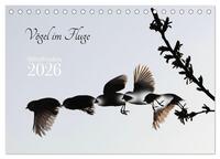 Vögel im Fluge (Tischkalender 2026 DIN A5 quer), CALVENDO Monatskalender