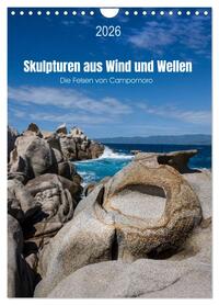 Skulpturen aus Wind und Wellen (Wandkalender 2026 DIN A4 hoch), CALVENDO Monatskalender