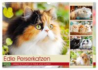 Edle Perserkatzen. Leises Schnurren in Haus und Garten (Wandkalender 2026 DIN A3 quer), CALVENDO Monatskalender