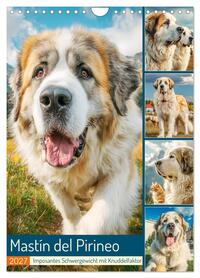 Mastín del Pirineo. Imposantes Schwergewicht mit Knuddelfaktor (Wandkalender 2027 DIN A4 hoch), CALVENDO Monatskalender