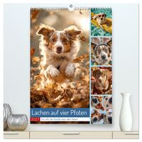 Lachen auf vier Pfoten (hochwertiger Premium Wandkalender 2027 DIN A2 hoch), Kunstdruck in Hochglanz