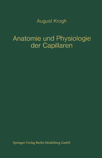 Anatomie und Physiologie der Capillaren