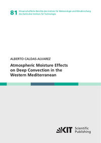 Atmospheric Moisture Effects on Deep Convection in the Western Mediterranean