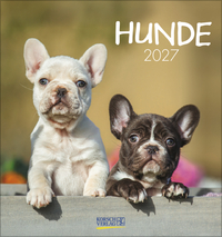 Hunde 2027