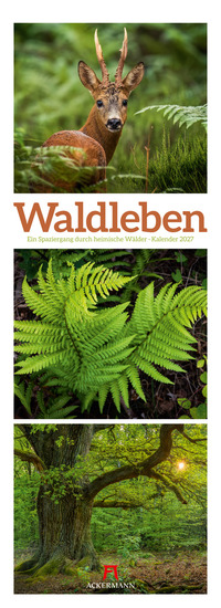 Waldleben Triplet-Kalender 2027 | Spaziergang durch heimische Wälder