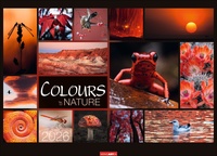 Colours of Nature Kalender 2026