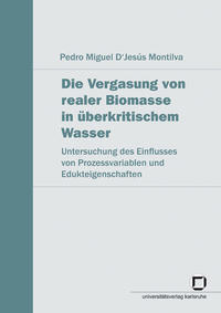Die Vergasung von realer Biomasse in überkritischem Wasser