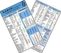 Labor Normwerte 2025 - Medizinische Taschen-Karte