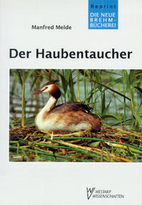 Der Haubentaucher