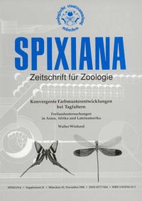 Konvergente Farbmusterentwicklungen bei Tagfaltern