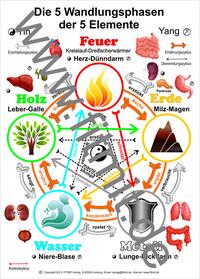Die 5 Wandlungsphasen der 5 Elemente