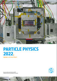 Particle Physics 2022