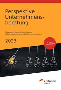 Perspektive Unternehmensberatung 2023