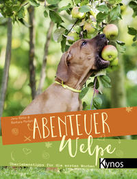 Abenteuer Welpe