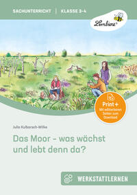 Das Moor - was wächst und lebt denn da?