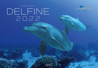 Delfine 2022