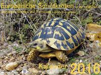 Europäische Schildkröten in der freien Natur Kalender 2016