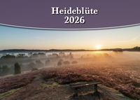 Heideblüte 2026